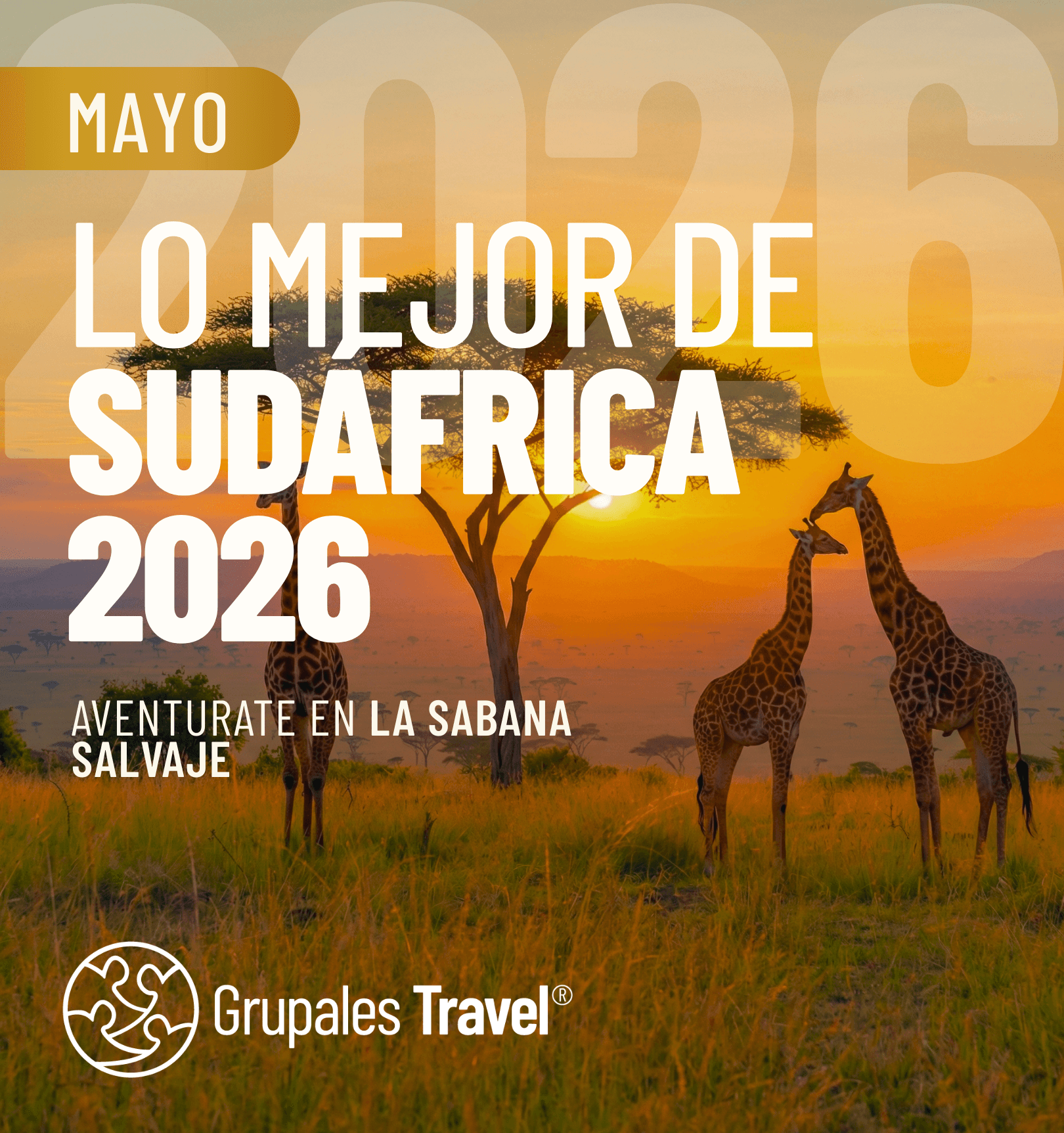 LO MEJOR DE SUDÁFRICA 2026